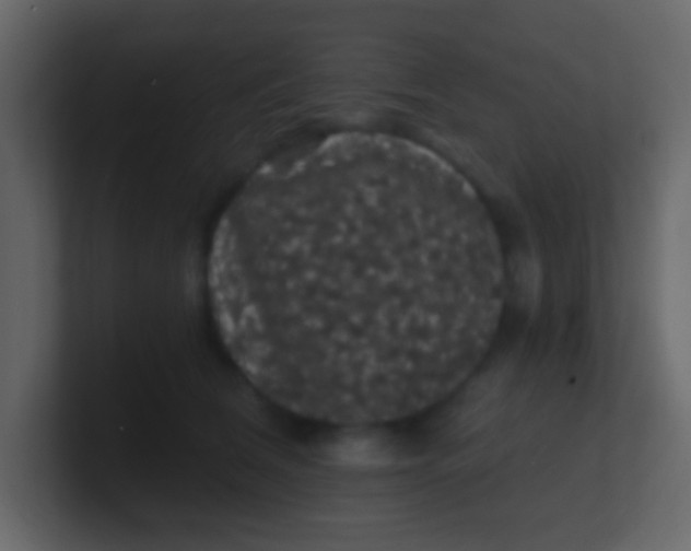 X0000100890612200807081042