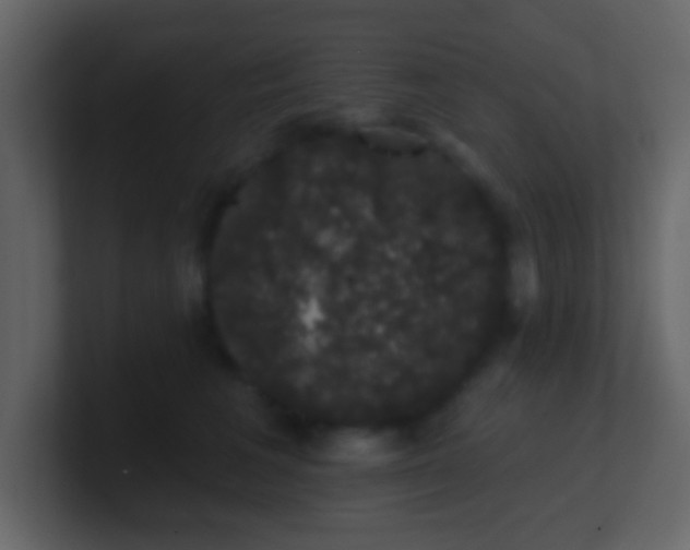 X0000100890613200807081042