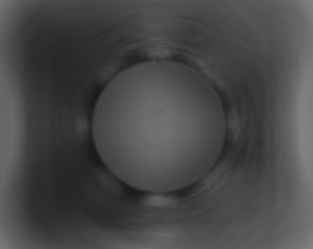 X0000100890614200807081042