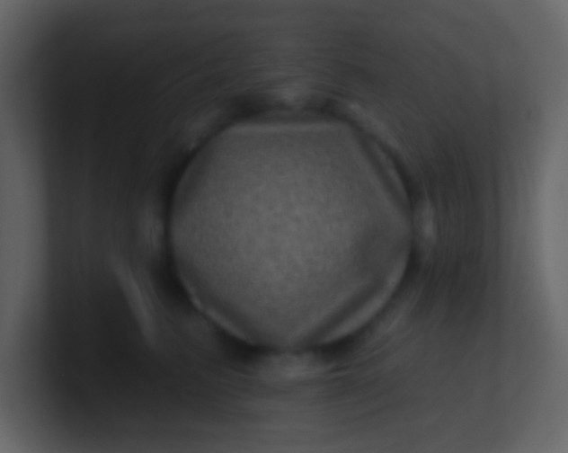 X0000100890615200807081042