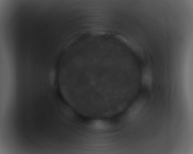 X0000100890616200807081042