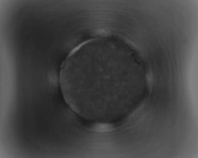 X0000100890617200807081042