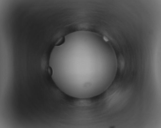 X0000100890619200807081042