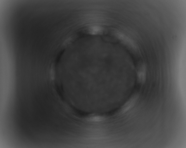 X0000100890620200807081042