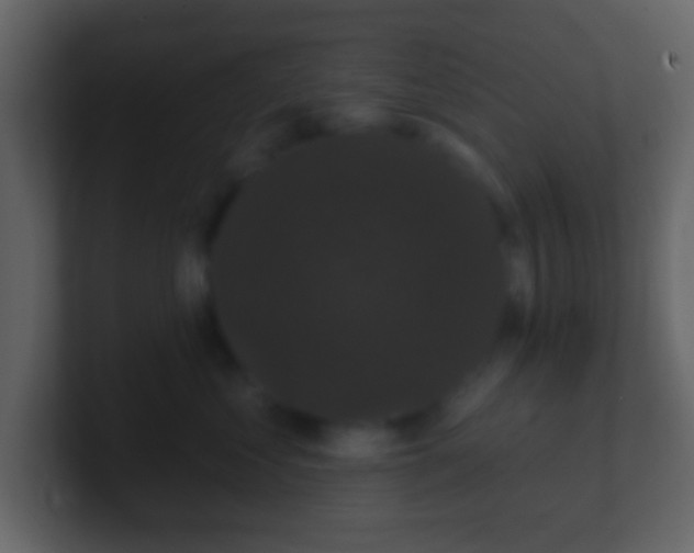 X0000100890621200807081042