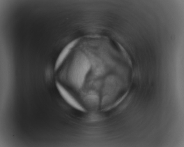 X0000100890623200807081042