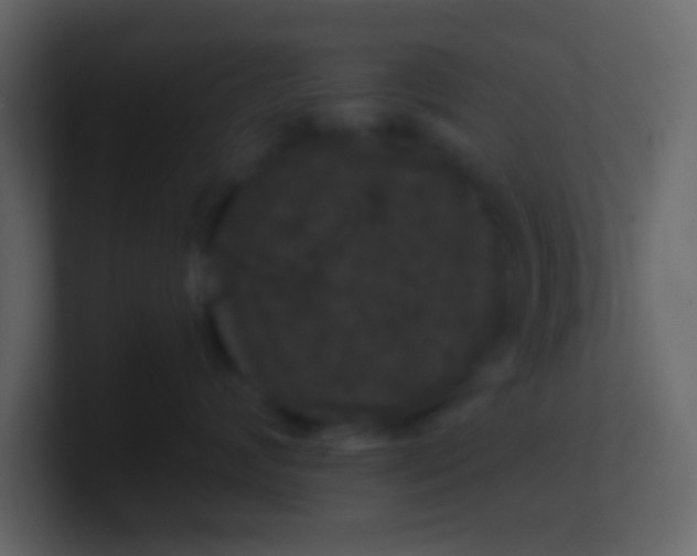 X0000100890624200807081042