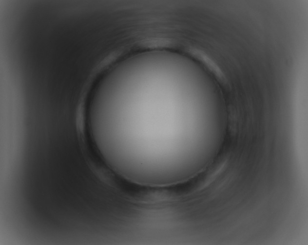 X0000100890631200807081042