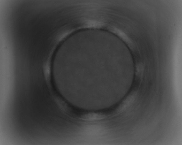 X0000100890632200807081042