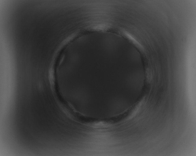 X0000100890634200807081042