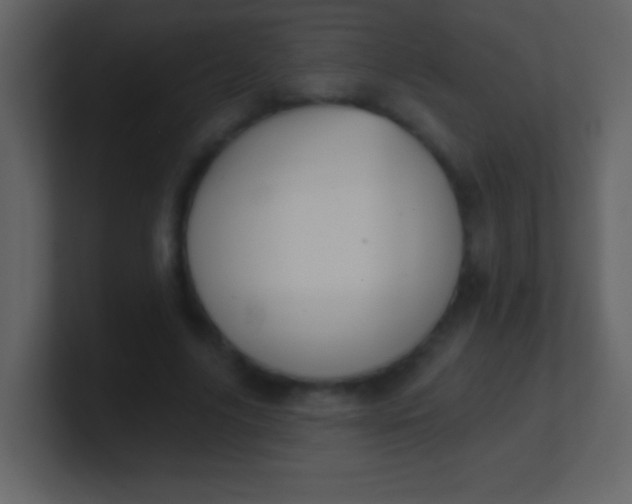 X0000100890635200807081042