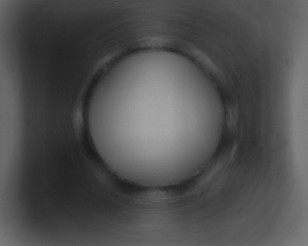 X0000100890636200807081042