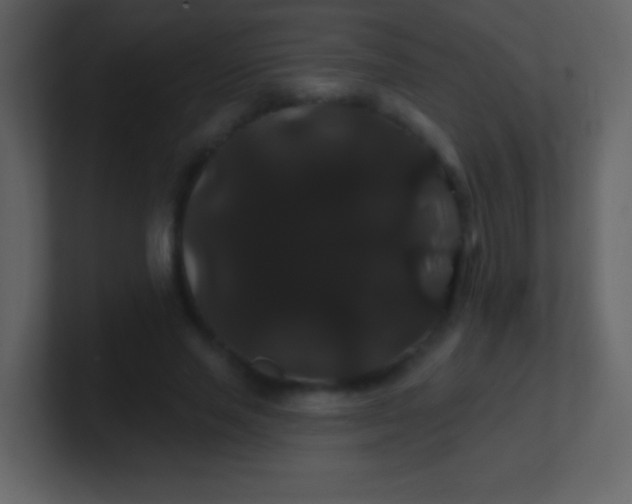 X0000100890637200807081042