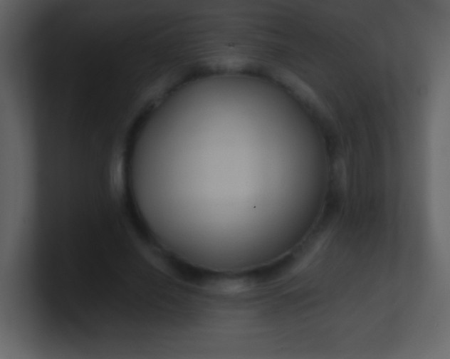 X0000100890638200807081042