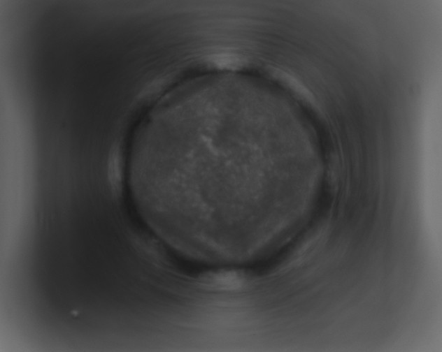 X0000100890639200807081042