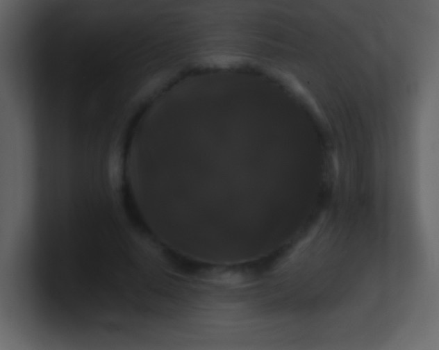 X0000100890640200807081042