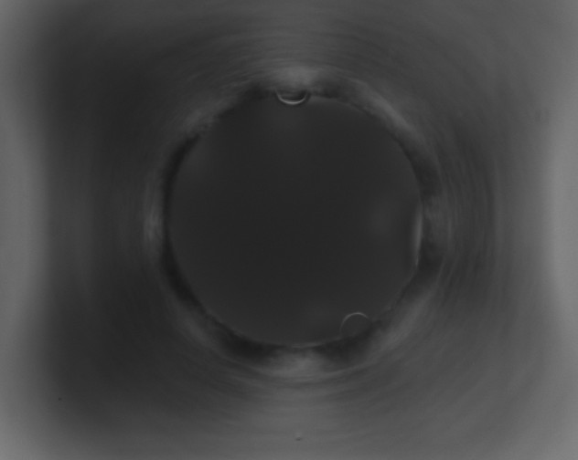 X0000100890642200807081042