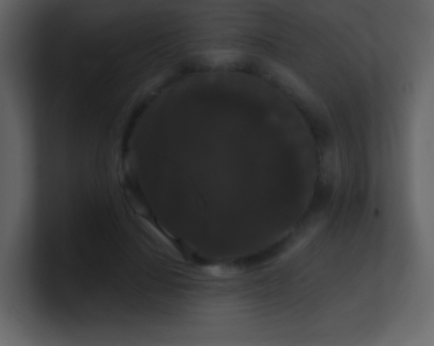 X0000100890644200807081042