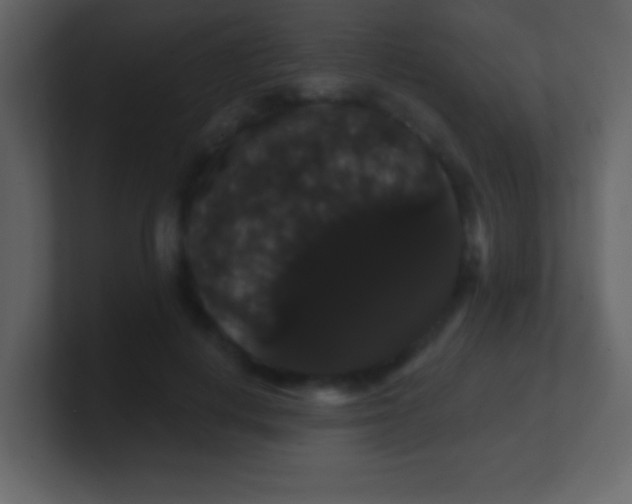 X0000100890648200807081042