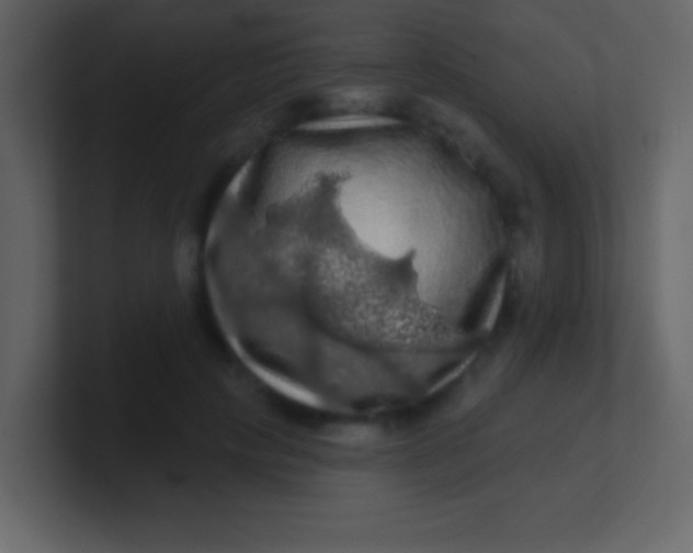 X0000100890649200807081042