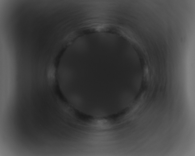 X0000100890650200807081042