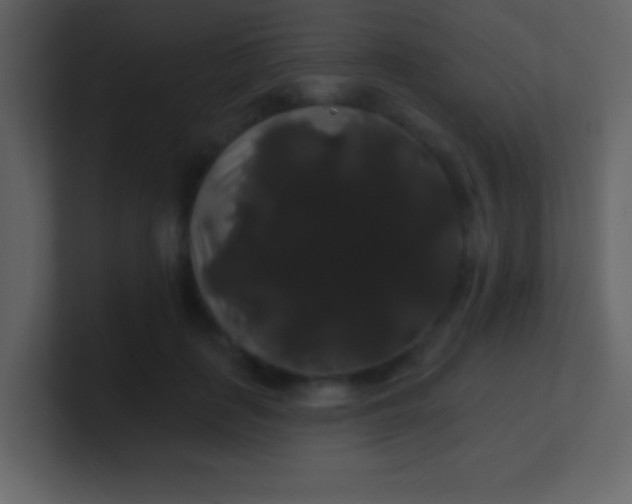 X0000100890651200807081042