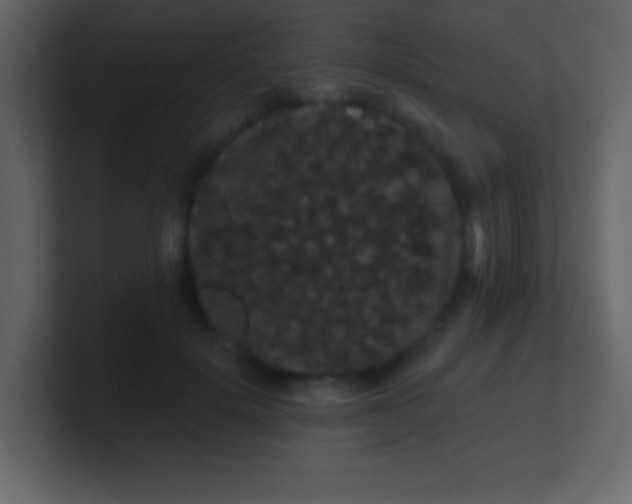 X0000100890652200807081042