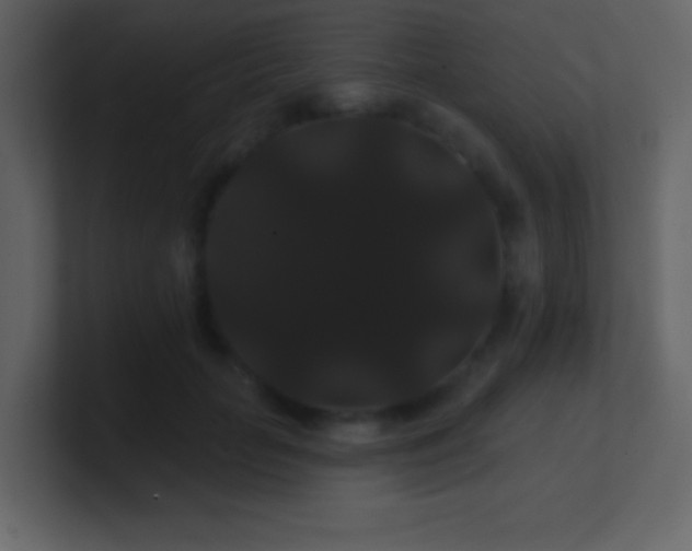 X0000100890653200807081042