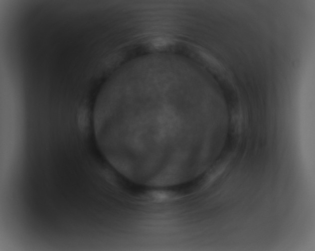 X0000100890654200807081042