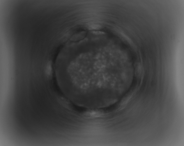 X0000100890655200807081042