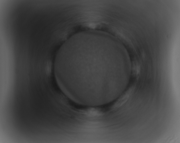 X0000100890656200807081042