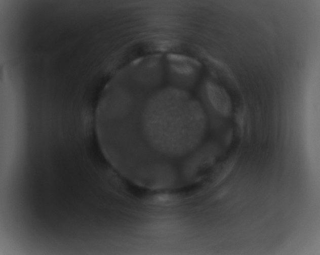 X0000100890657200807081042