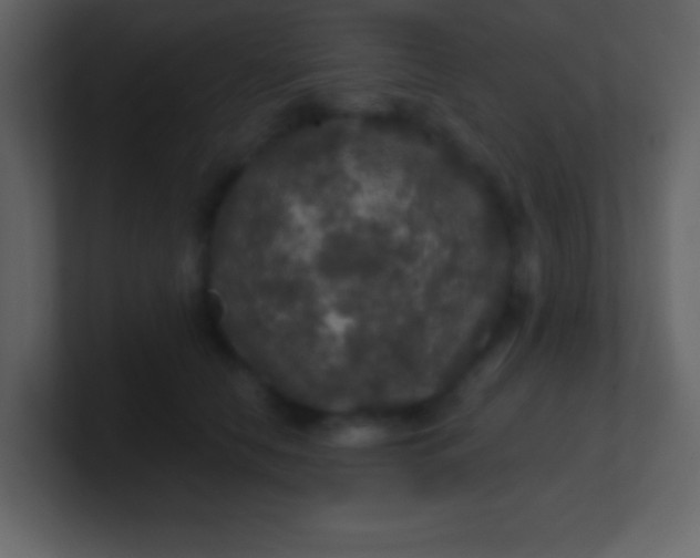 X0000100890658200807081042