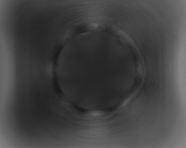 X0000100890659200807081042