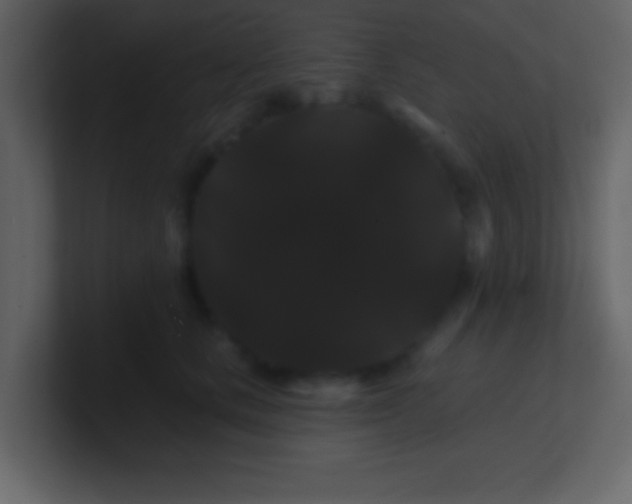 X0000100890661200807081042