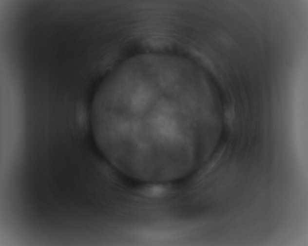 X0000100890662200807081042