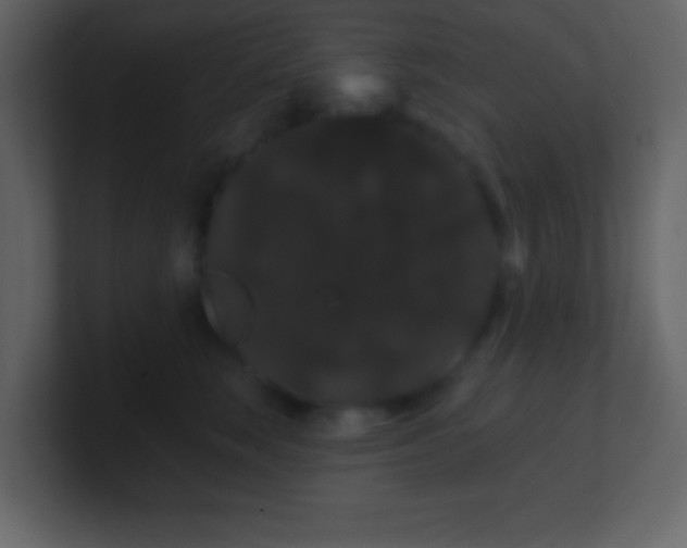 X0000100890663200807081042