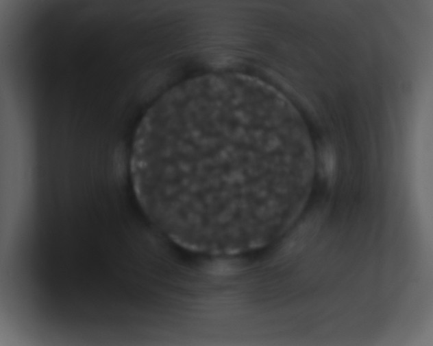 X0000100890664200807081042