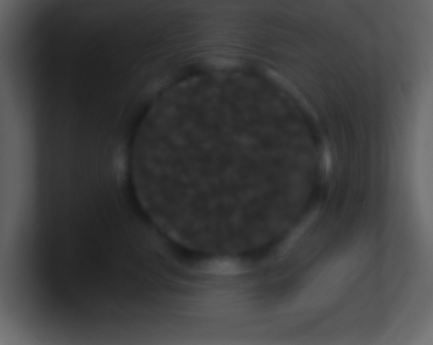 X0000100890668200807081042