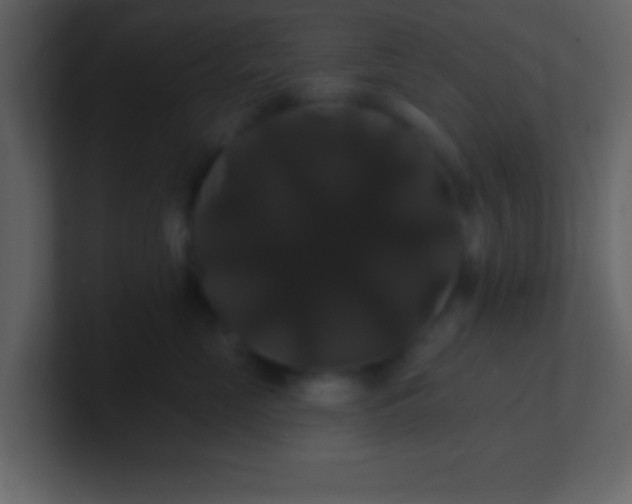 X0000100890669200807081042