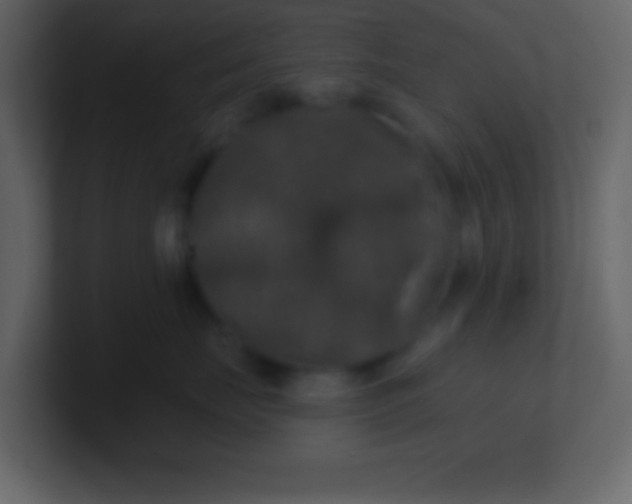 X0000100890671200807081042