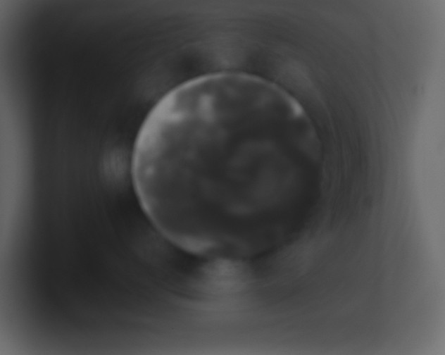 X0000100890672200807081042