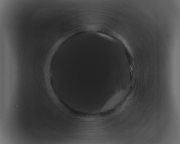 X0000100890673200807081041