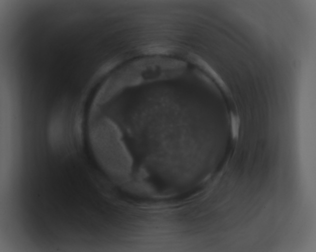 X0000100890675200807081041