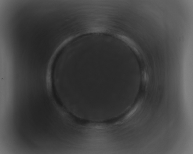 X0000100890676200807081041