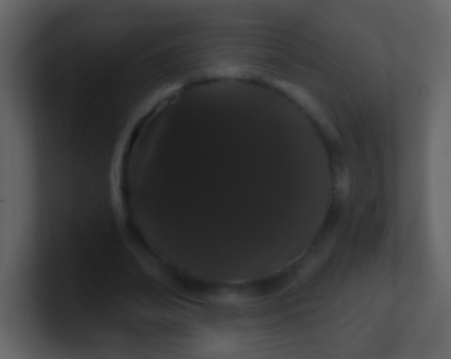 X0000100890678200807081041