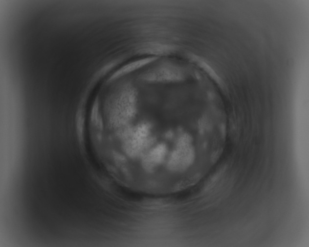 X0000100890679200807081041