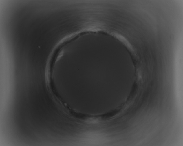 X0000100890680200807081041