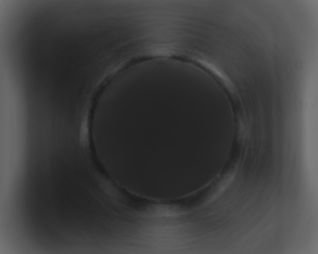 X0000100890681200807081041