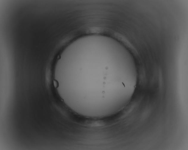 X0000100890683200807081041